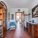 Daire Guesthost - Ponte A Moriano With Private Parking&garden! Lucca